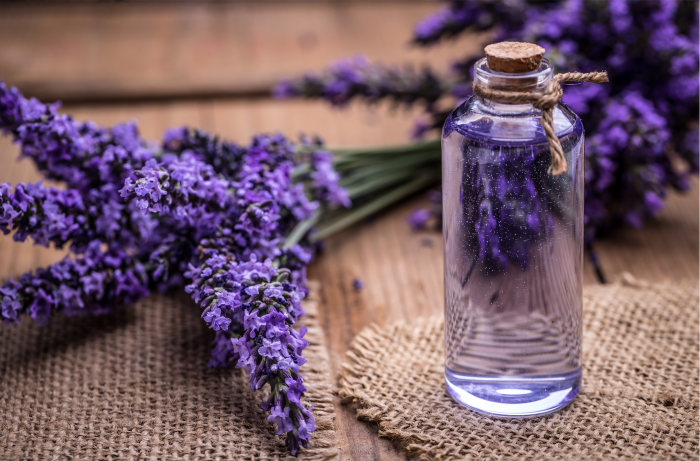 Refresh e os benefícios da lavanda, calêndula e hortelã na terapia capilar, por Rosângela Lampert.