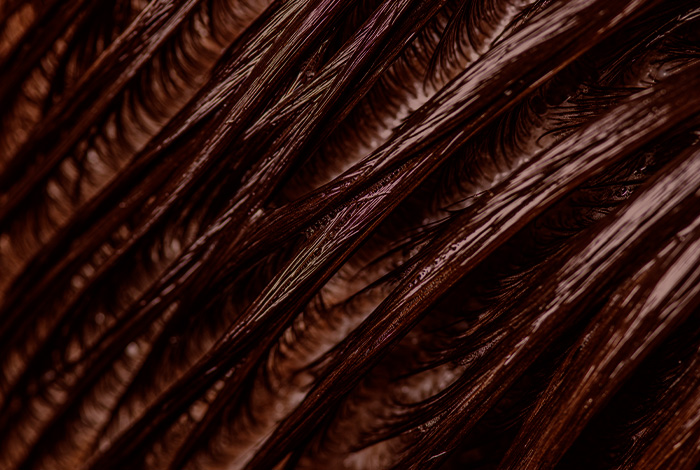 Couro cabeludo sensível: sintomas e cuidados essenciais. 1 Close de fios de cabelo e couro cabeludo, mostrando textura e alinhamento dos fios em detalhe.