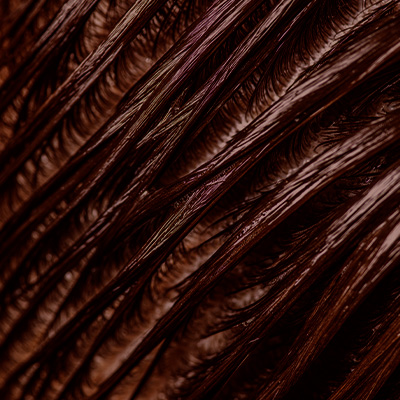 Close de fios de cabelo e couro cabeludo, mostrando textura e alinhamento dos fios em detalhe.